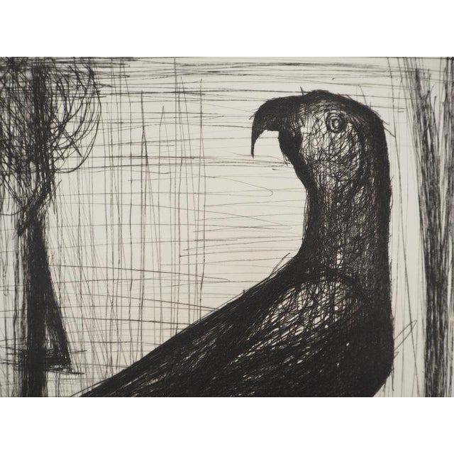 Modern Bernard Buffet, The Parrot, Original Engraving For Sale - Image 3 of 5