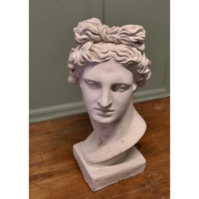 Large Heavy Bust of Apollo For Sale - Image 4 of 8