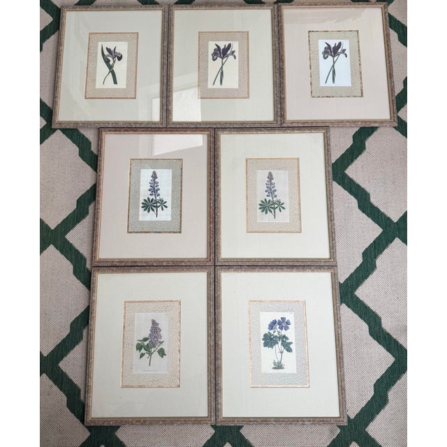 Set of seven Hand-Colored Engravings from Curtis's Botanical Magazine, 1801-1809. These stunning prints are professionally...