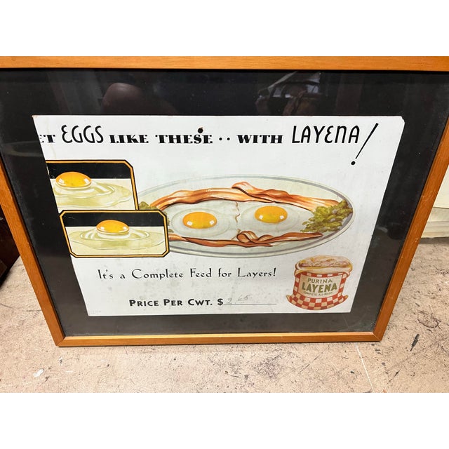 Vintage 1930s Egg Breakfast & Purina Layena Chicken Feed Advertisement Framed For Sale - Image 4 of 7