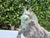 Vintage Bronze Asian Horse Sculpture With Natural Verdigris Patina For Sale - Image 11 of 12
