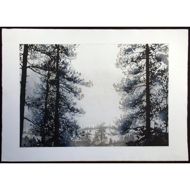 1980s "Olympia" Pine Trees Landscape Etching by Catherine Ruane O'Connor For Sale In Denver - Image 6 of 6