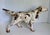 Metal 1930s Hubley Attributed Cast Iron English Setter Dog Doorstop For Sale - Image 7 of 12