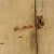 Wood Two-Leaf Door with Original Lacquer, 1700s For Sale - Image 7 of 9