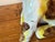 Vintage Pair of H. Mária Ráhmer Ceramic Sculptures of Terrier Dogs For Sale - Image 13 of 15