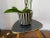 Kidney-Shaped Formica Flower Table or Plant Stand, 1950s For Sale - Image 10 of 12