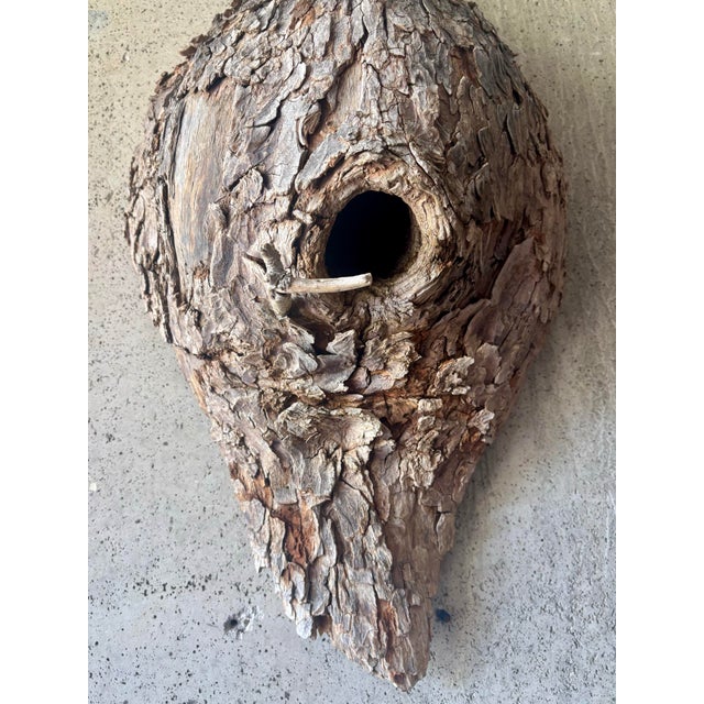 Vintage Mid-Century American Folk Art Bird Nest Tree Bark Wall Sculpture For Sale - Image 4 of 7