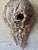 Vintage Mid-Century American Folk Art Bird Nest Tree Bark Wall Sculpture For Sale - Image 4 of 7