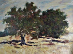 Sandra Phipps MacDiarmid, Circle Lime, Circa 1990