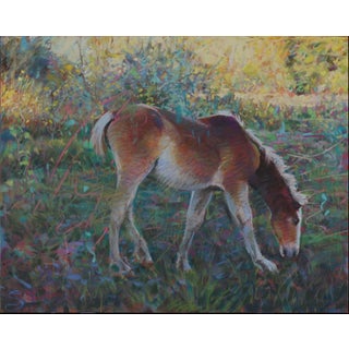 Little Spunkaroo by Jeff Slemons | Soft Pastel on Sanded Paper Young horse grazing in a colorful field. For Sale