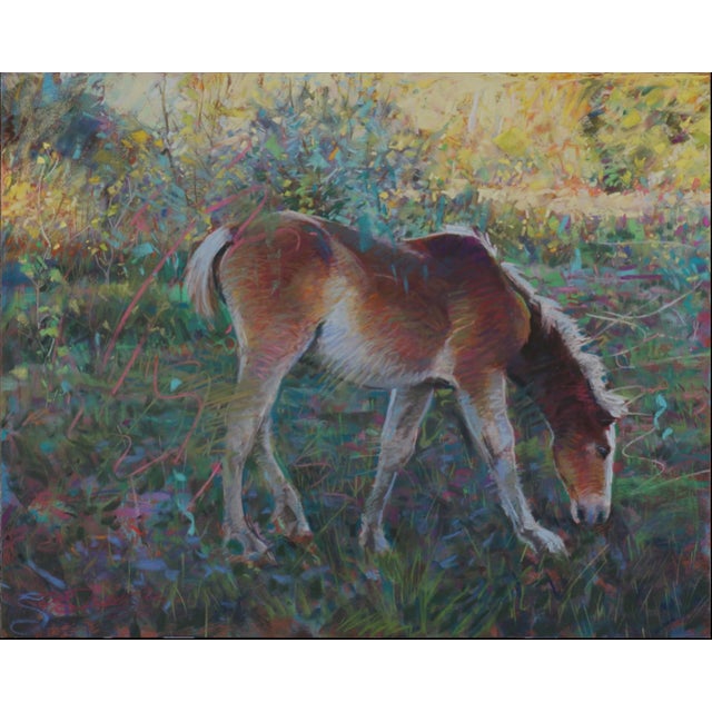 Little Spunkaroo by Jeff Slemons | Soft Pastel on Sanded Paper Young horse grazing in a colorful field. For Sale