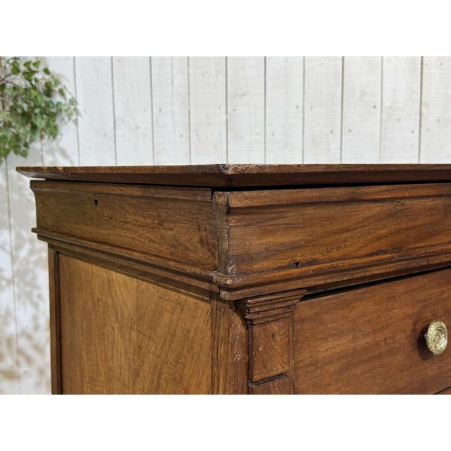 19th Century Restoration Chest of Drawers in Chestnut For Sale - Image 6 of 16