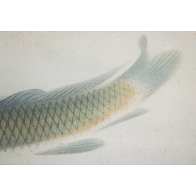 "Leaping Carp", Early Showa Era Japanese Silk Scroll Painting For Sale - Image 9 of 18