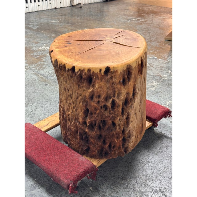 Organic Modern Live Edge Tree Side Table/Stool For Sale - Image 12 of 12