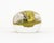 Paul Stankard (American, b. 1943) Botanical Glass Paperweight, 2003, signed and dated "Paul J. Stankard C2 2003" near...