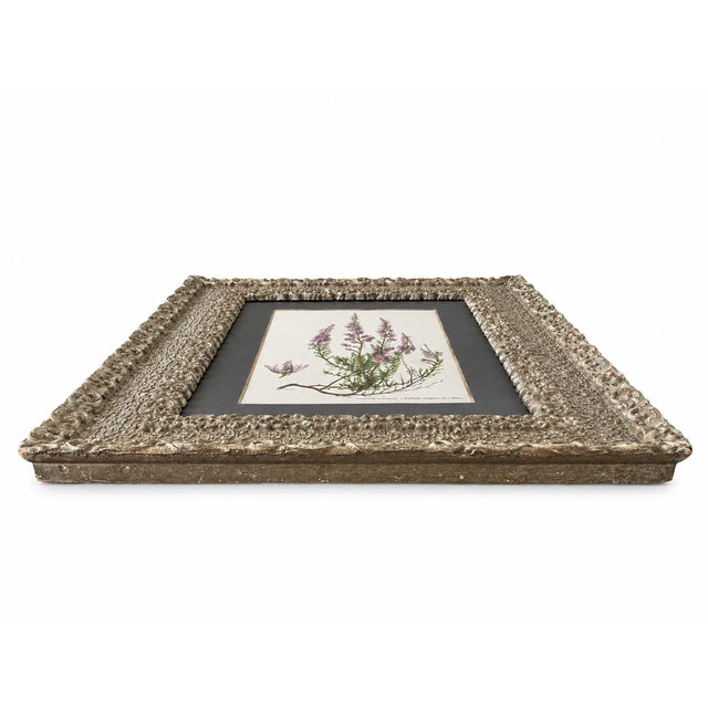 Wood Antique Victorian Ornate Silvered Frame With French Heather Botanical Print For Sale - Image 7 of 9