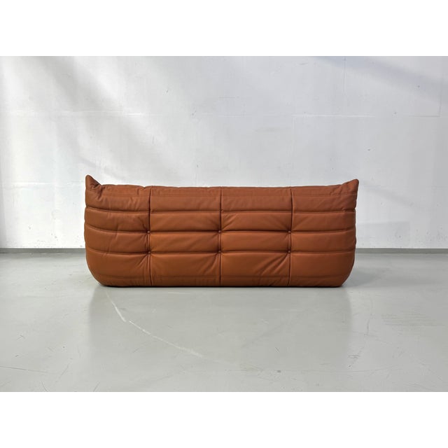French Togo Sofa in Thick Cognac Cow Leather by Michel Ducaroy for Ligne Roset For Sale - Image 13 of 15