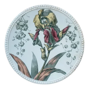 English Iris Plate Cauldon Circa 1904