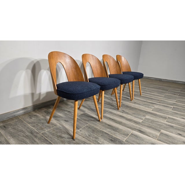 Set of Dining Chairs by Antonin Suman, 1960s For Sale - Image 9 of 12