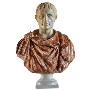 End 20th Century Bust of Octavian Augustus in Breccia Pernice and White Carrara For Sale