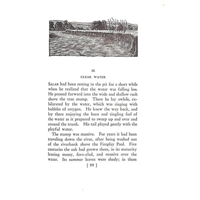 "Salar the Salmon" Book 1936 Williamson, Henry For Sale - Image 10 of 10