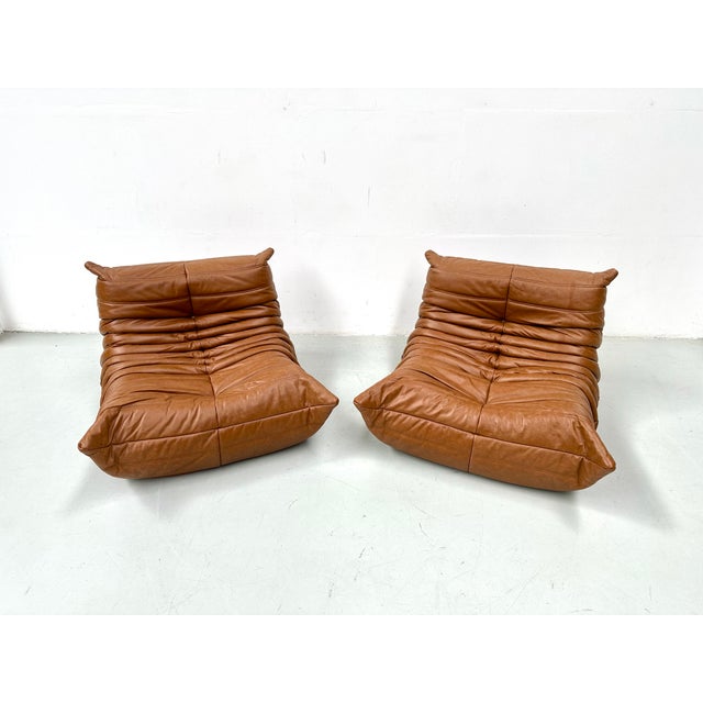 Togo Lounge Chairs in Cognac Cow Leather attributed to Michel Ducaroy for Ligne Roset, Set of 2 For Sale - Image 6 of 13
