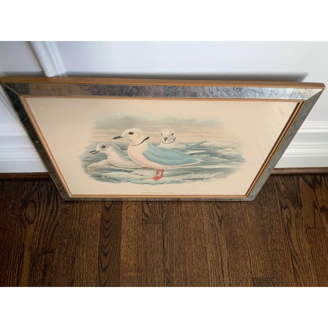 Paint Hand Colored Bird Prints in Vintage Mercury Frames- Set of 3 For Sale - Image 7 of 13