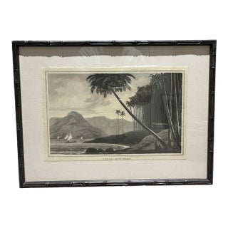 Natural Curiosities “Cocoa-Nut Tree” Tropical Coastal Landscape Print For Sale