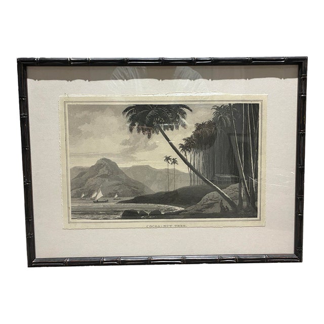 Natural Curiosities “Cocoa-Nut Tree” Tropical Coastal Landscape Print For Sale