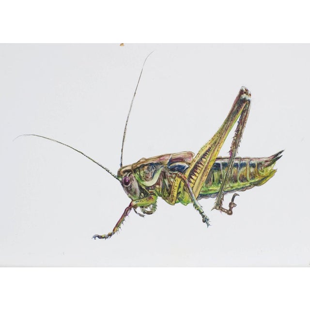Juris Utans, Grasshopper at Rest VI 2021, Mixed Media and Paper For Sale - Image 3 of 3