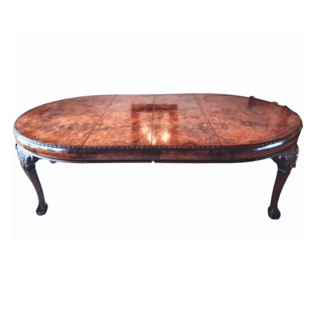 Late 19th Century Antique Burlwood Ball and Claw Dining Table Chairish