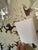 Cole & Son Damask White Lifford Flock on Silver Foil Wallpaper For Sale - Image 14 of 18