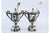 Mustard Pots in Embossed Silver with Palms, Glass Cores and Resting on Claw-Shaped Feet, Set of 2 For Sale - Image 3 of 9