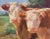 Cream 'A Curious Pair' by Mary Beth Schwark, New Mexico Woman Artist, Oil Painters of America, Michigan For Sale - Image 8 of 8