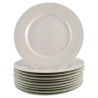 Dinner Plates with Floral Decoration by Raija Uosikkinen for Arabia, 1960s, Set of 10 For Sale