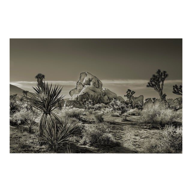 24" Signed, Limited Edition Photographic Print by Glenn Daidone / Desertscape / Landscape / Black and White / White Rock For Sale