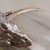 French Silver-Plated Ram Handle Champagne Bucket, 1960s For Sale In Chicago - Image 6 of 7