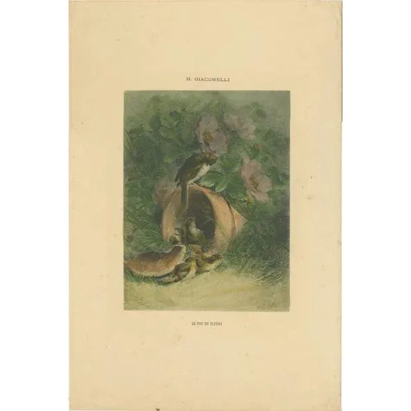 This enchanting print, titled "Le Pot de Fleurs" (The Flower Pot), is a delightful example of Hector Giacomelli's talent...