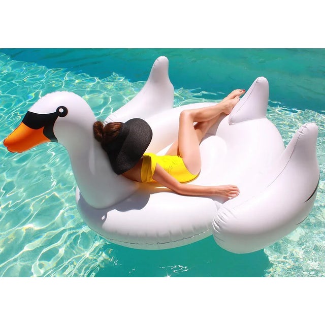 Contemporary Swanning by Kelly & Fred Print with White Frame - 20 X 30 For Sale - Image 3 of 3