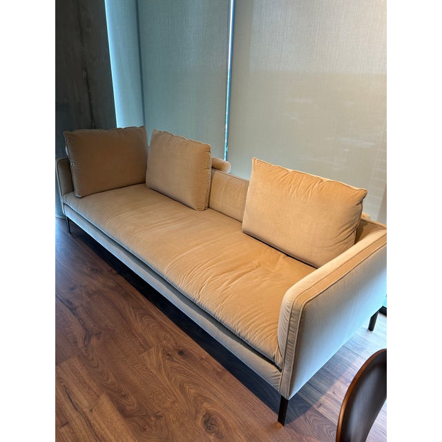 Contemporary Molteni Paul Sofa 102" Vincent Van Duysen - Like New Condition For Sale - Image 3 of 13