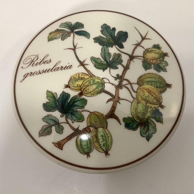 Vintage Villeroy & Boch German Botanical Porcelain Trinket Box With Lid