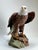 American Mid 20th Century Rare Kaiser Porcelain American Bald Eagle Sculpture Limited Edition No. 12/200, W. Germany For Sale - Image 3 of 15