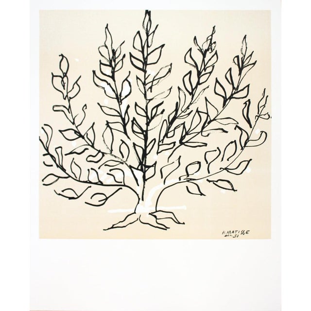 "Artist: Henri Matisse Title: Le Buisson Year: 2015 Signed: No Medium: Lithograph Paper Size: 33.5 x 26.75 inches ( 85.09...