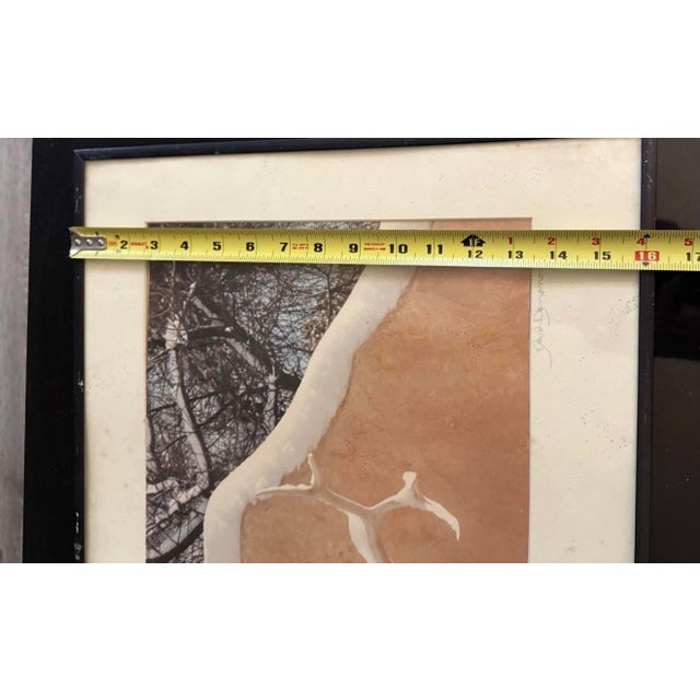 David Dohono Winter in My Patio 1989 Signed Photography Framed Listed Artist For Sale In Atlanta - Image 6 of 7