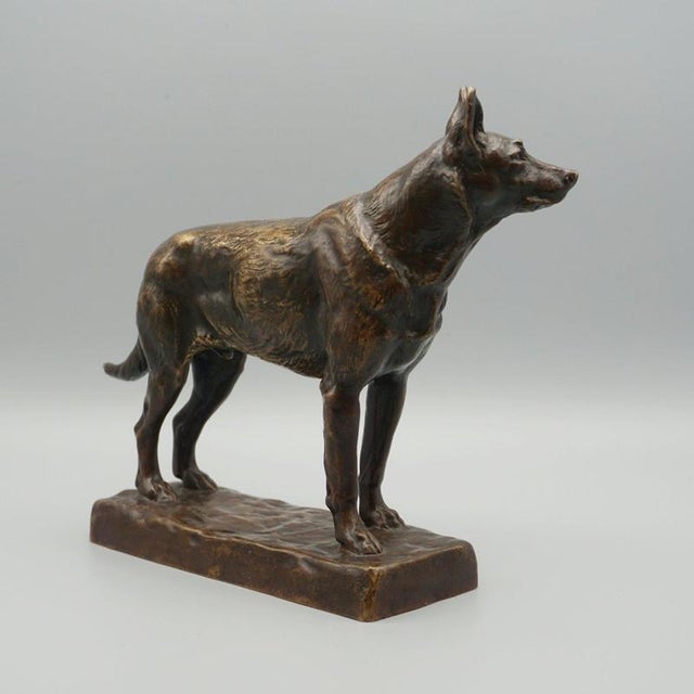 Amédéé Charles Loyseau, German Shepard, 1890s, Bronze For Sale - Image 3 of 12
