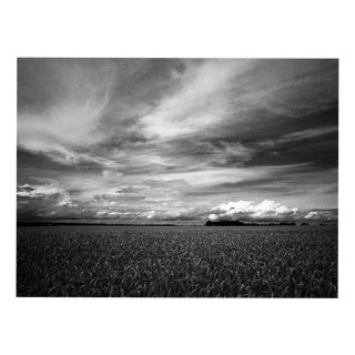 Paul Cooklin, Wheat Field, Occold II, Edition of 50 For Sale