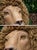 Vintage Faux Lion Head Taxidermy Wall Decor For Sale - Image 4 of 10
