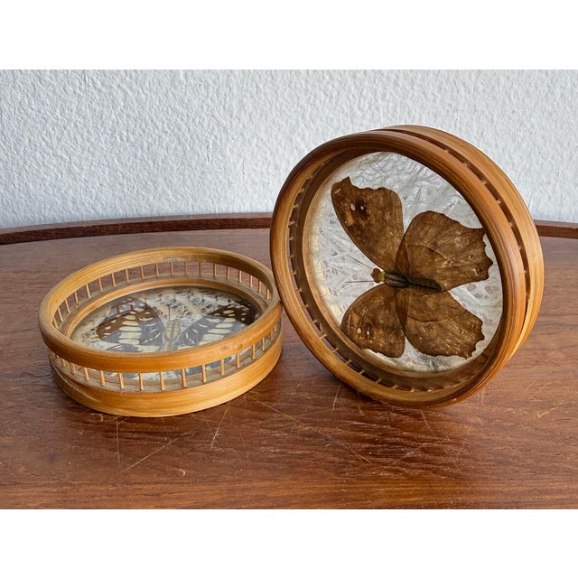 1970s Vintage Bamboo-Framed Coasters With Pressed Butterflies For Sale - Image 5 of 9