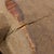 Early 20th Century Dogon Mask Mali For Sale - Image 4 of 7