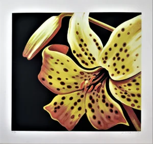Lowell Nesbitt, Lily, Circa 1975